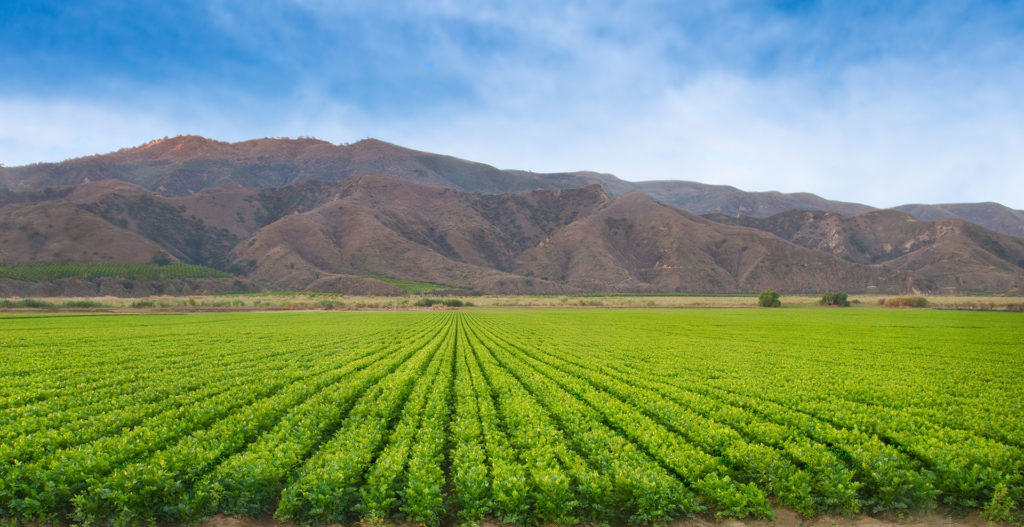 Empowering Women in the Legal Arena: A Conversation with Courtney ...