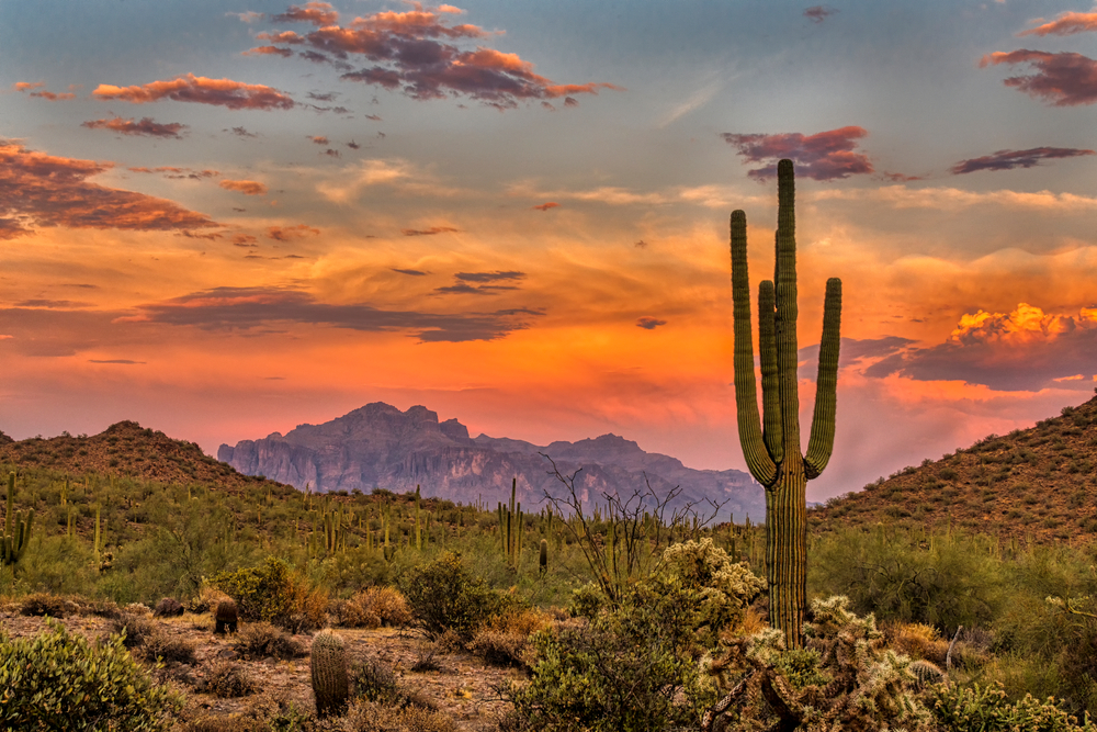 Sunset,In,The,Sonoran,Desert,Near,Phoenix,,Arizona