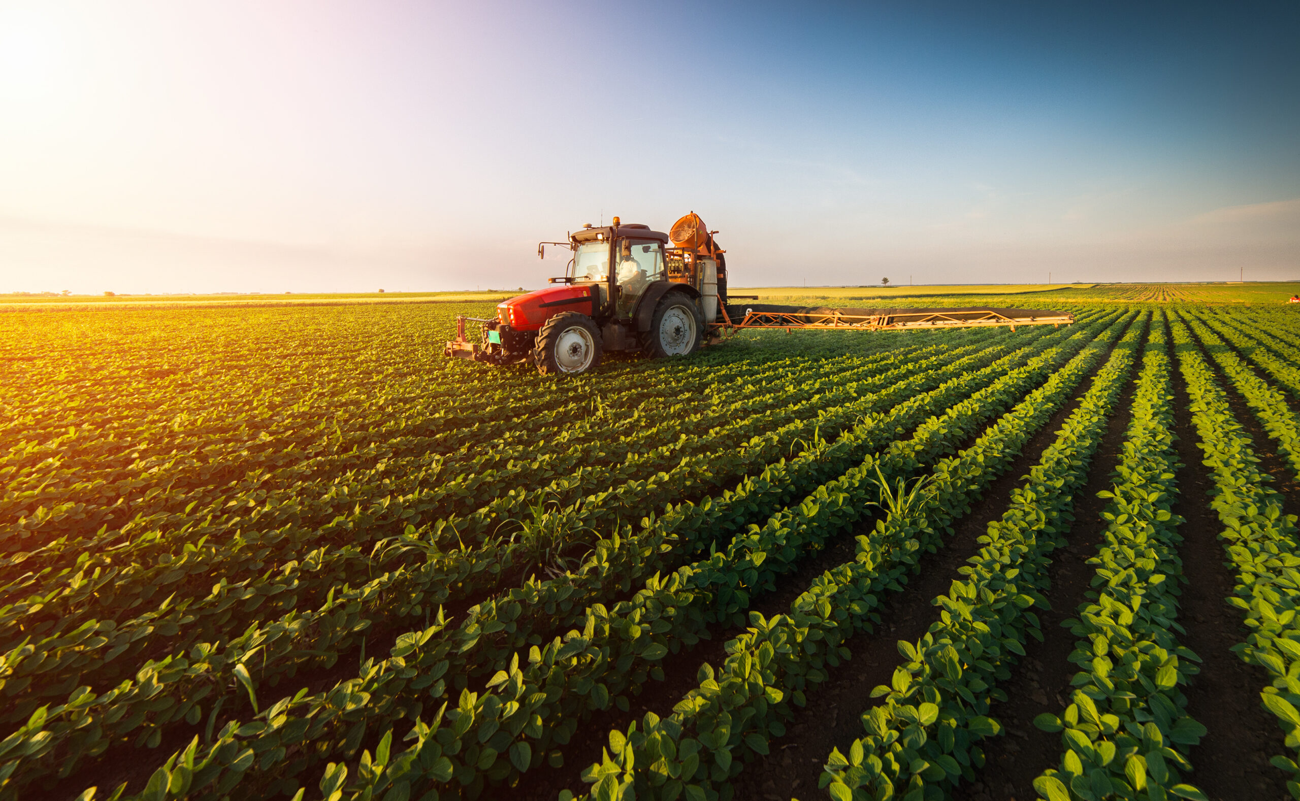 Tractor spraying soybean field at spring