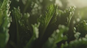 Fresh Green Leafy Vegetables in Natural Light CloseUp Photography for Health and Wellness Con