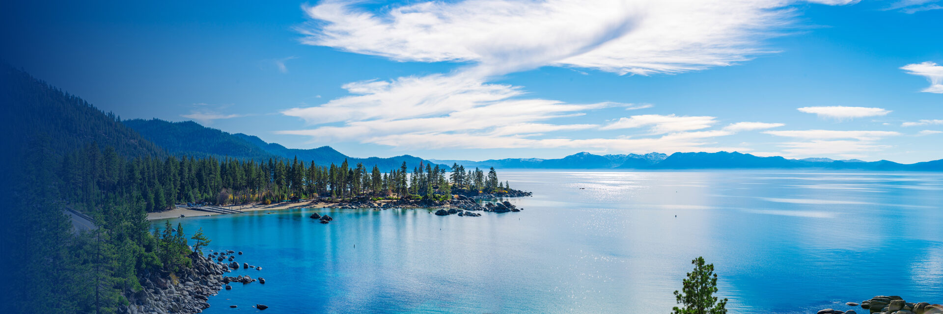 MOBO Header Banner