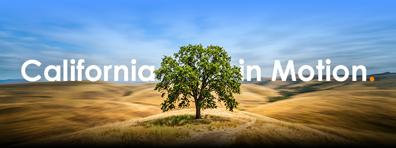 California in Motion Graphic Final Trending Now Banner